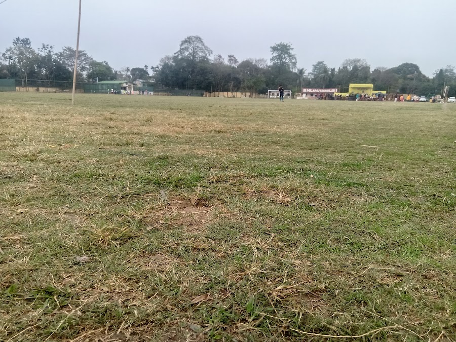 Chowkidinghee Field - Photo 2
