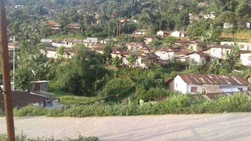 Tirap District - Photo 3