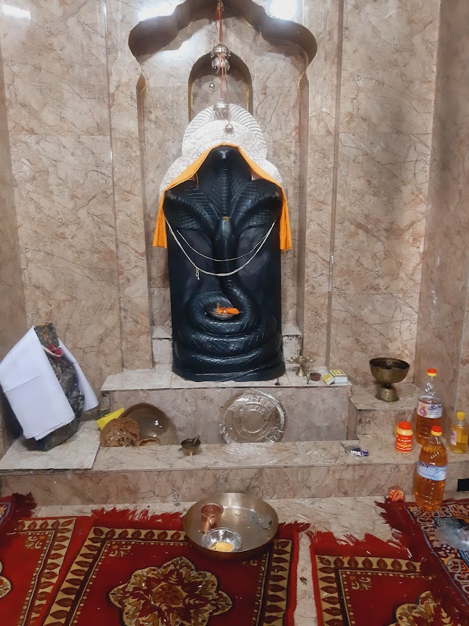 Nag Devta Temple - Photo 3