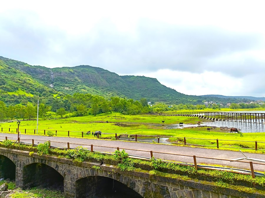 Lonavala Lake - Photo 3