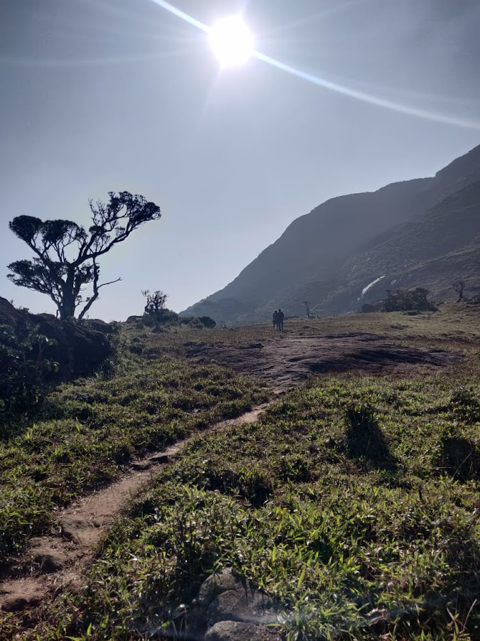 Agasthyamalai Biosphere Reserve - Photo 3