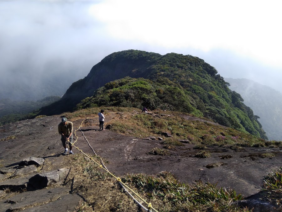Agasthyamalai Biosphere Reserve - Photo 4
