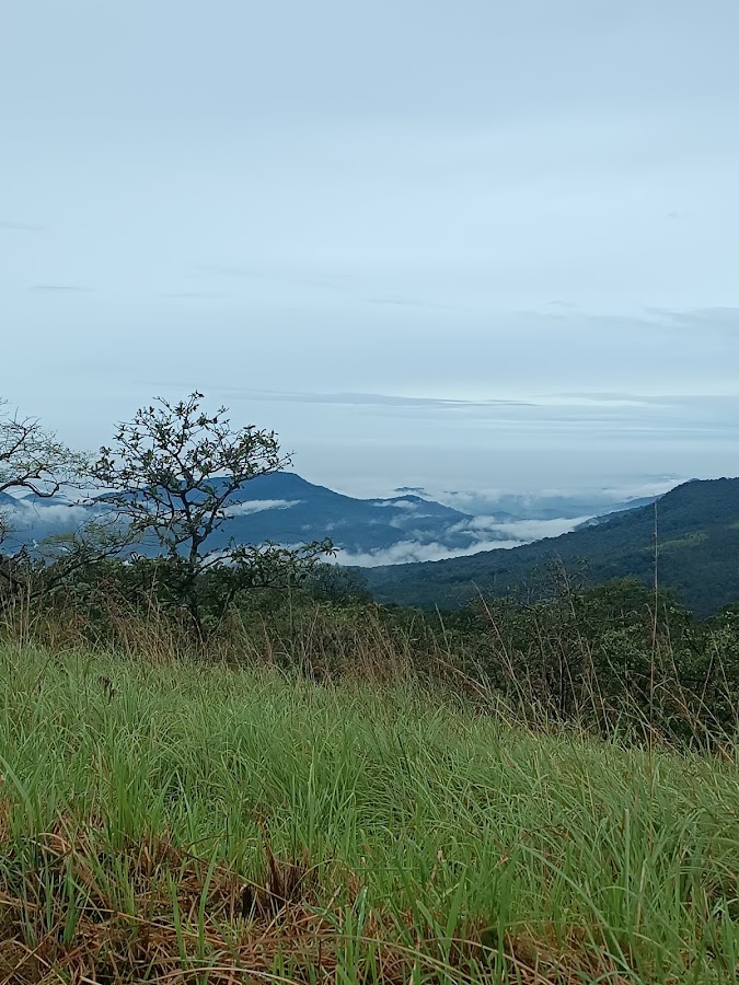 Agasthyamalai Biosphere Reserve - Photo 2