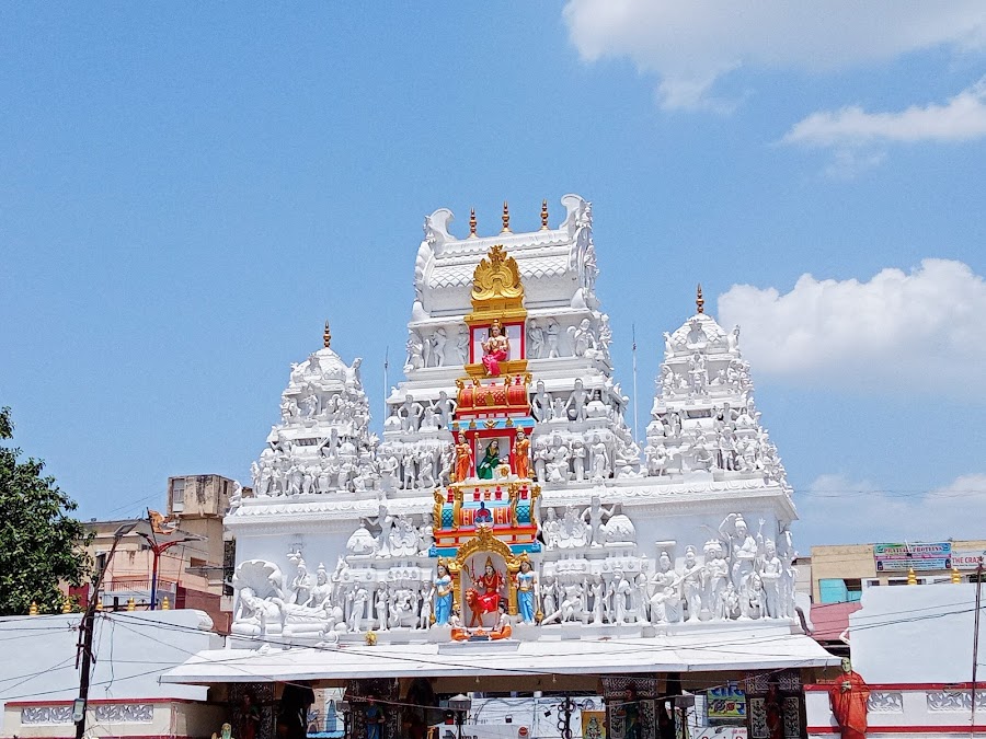 Shri Annapurna Temple, Indore - Photo 3