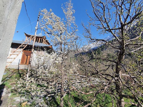 Sangla - Photo 4