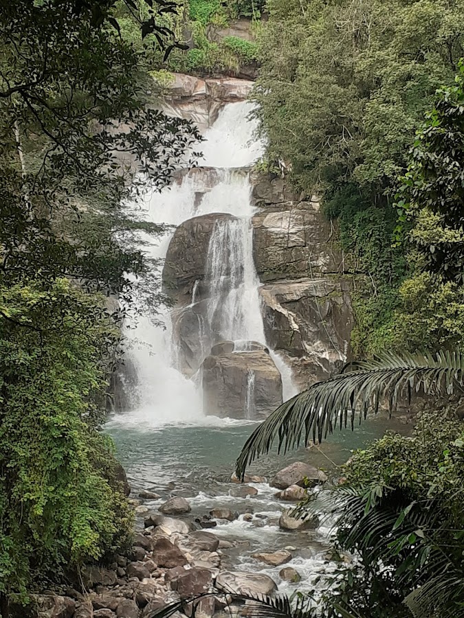 Meenmutty Falls - Photo 4