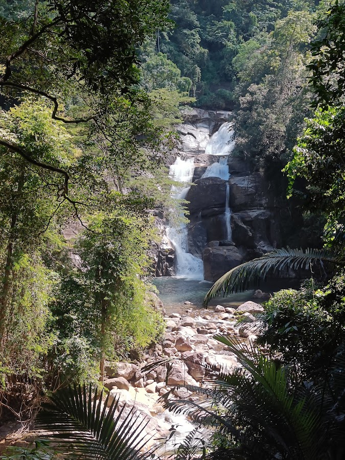 Meenmutty Falls - Photo 2