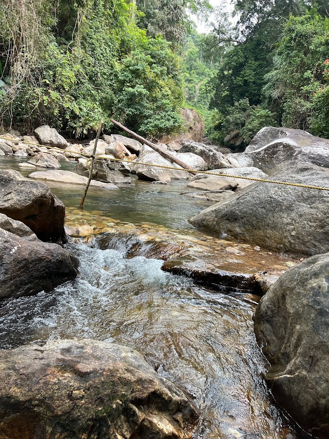 Meenmutty Falls - Photo 3
