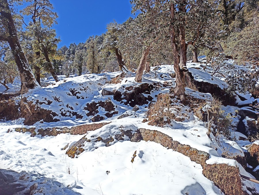 Kalamuni Top - Photo 5