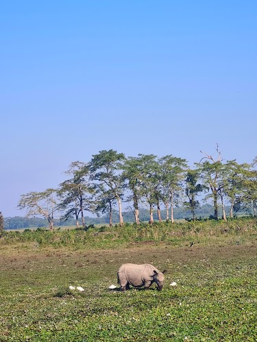 Kaziranga National Park - Photo 2