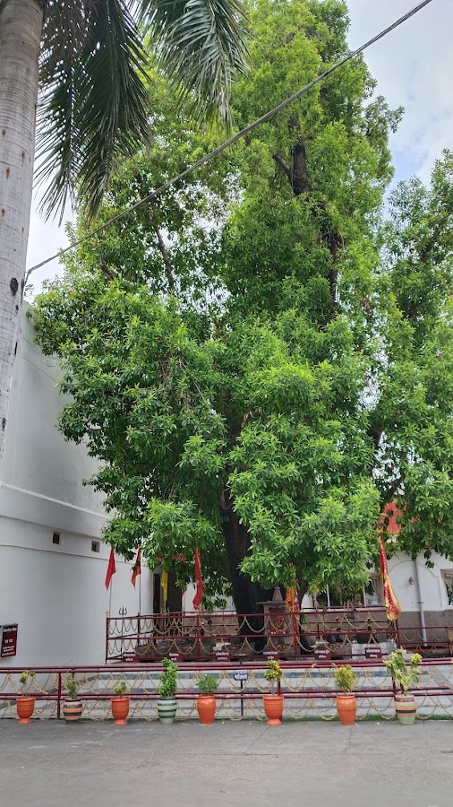 Parad Shivling - Photo 6