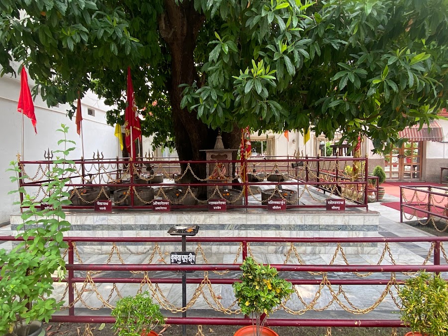 Parad Shivling - Photo 10