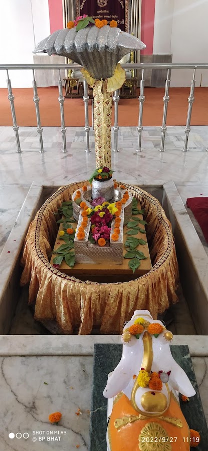 Parad Shivling - Photo 8