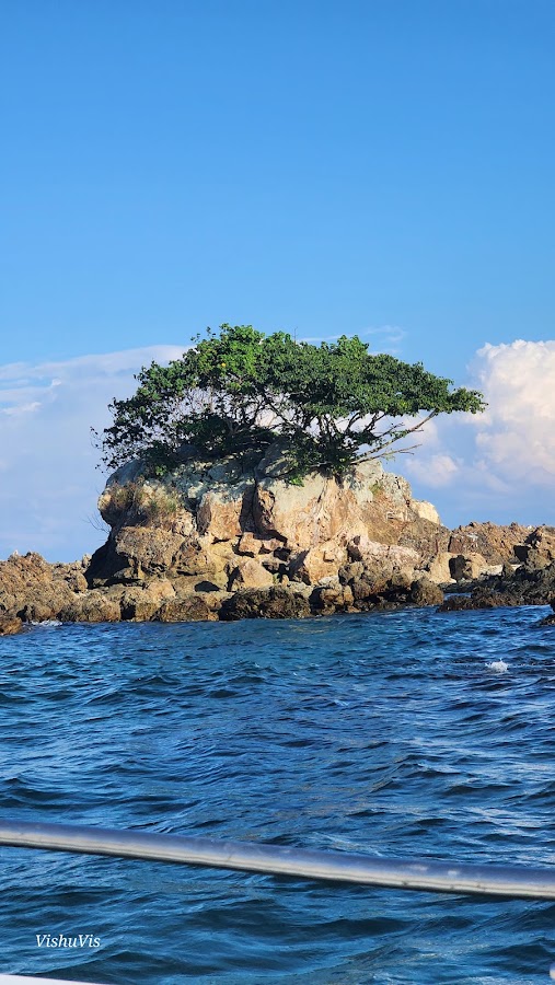 Corbyn's Cove - Photo 2