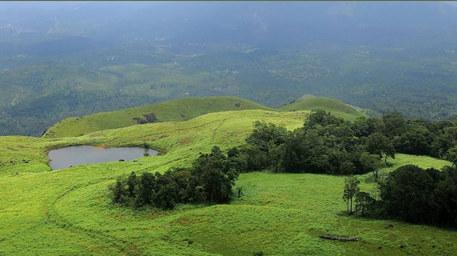 Chembra Peak - Photo 3