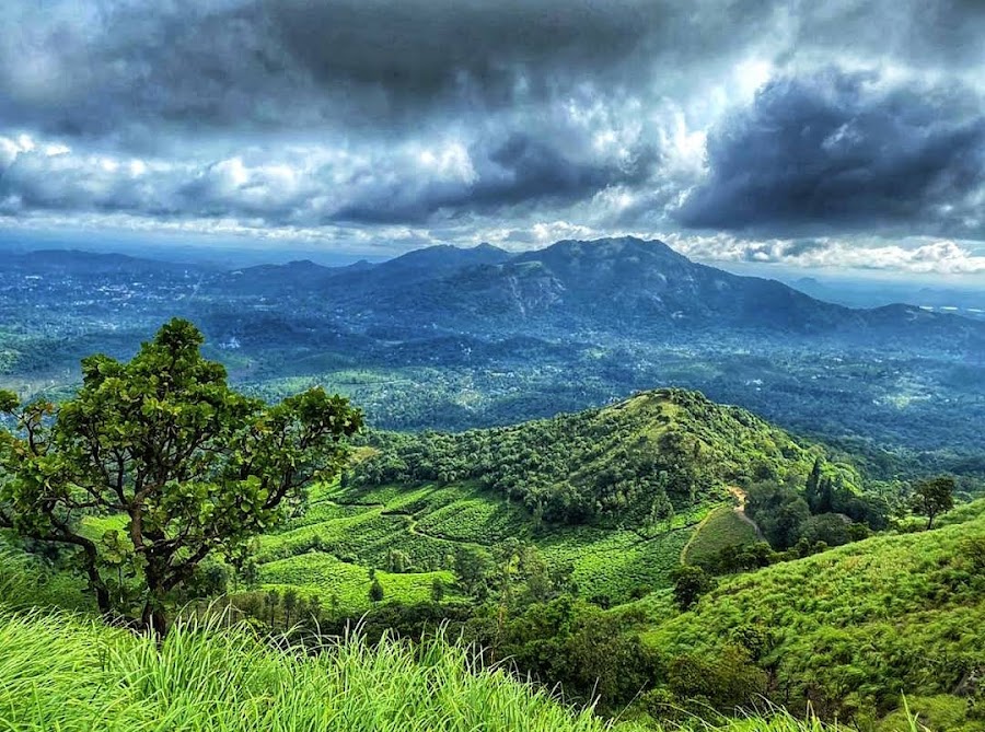 Chembra Peak - Photo 4