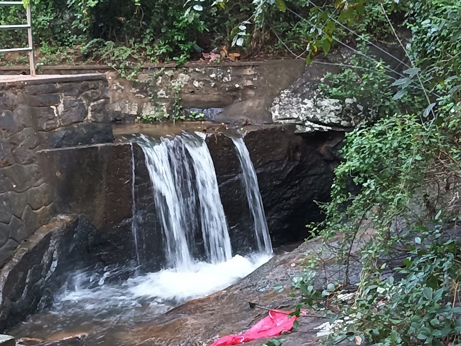 Tiger Falls - Photo 4
