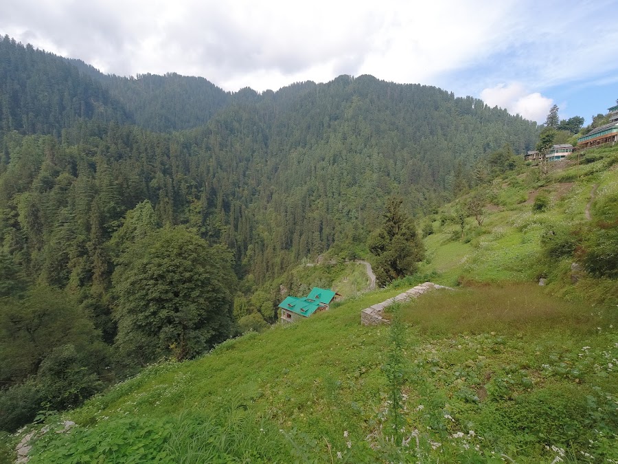 Shoja - Photo 2