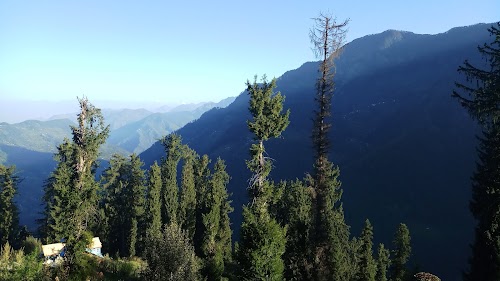 Shoja - Photo 5