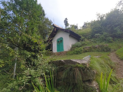 Shoja - Photo 2