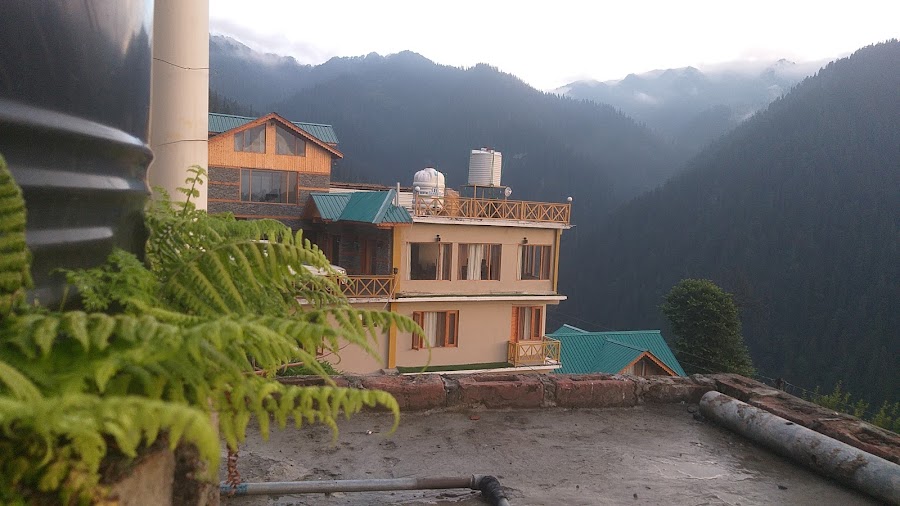 Shoja - Photo 3