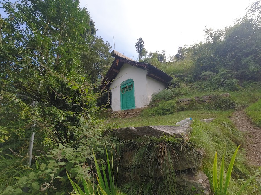 Shoja - Photo 4