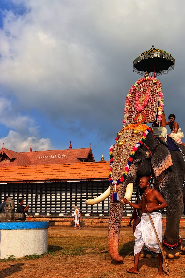 Koodalmanikyam Temple - Photo 4