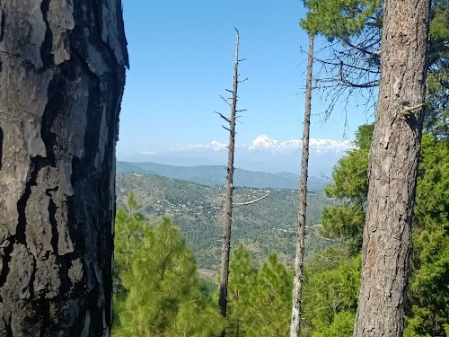Simtola - Photo 2