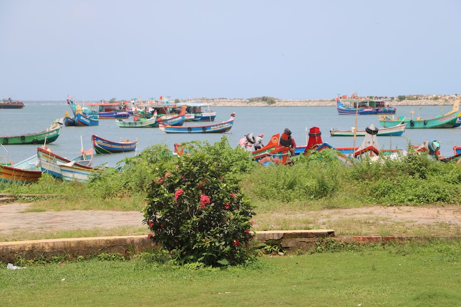 St. Thomas Fort (Thangasseri Fort) - Photo 4