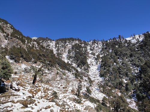 Triund - Photo 5