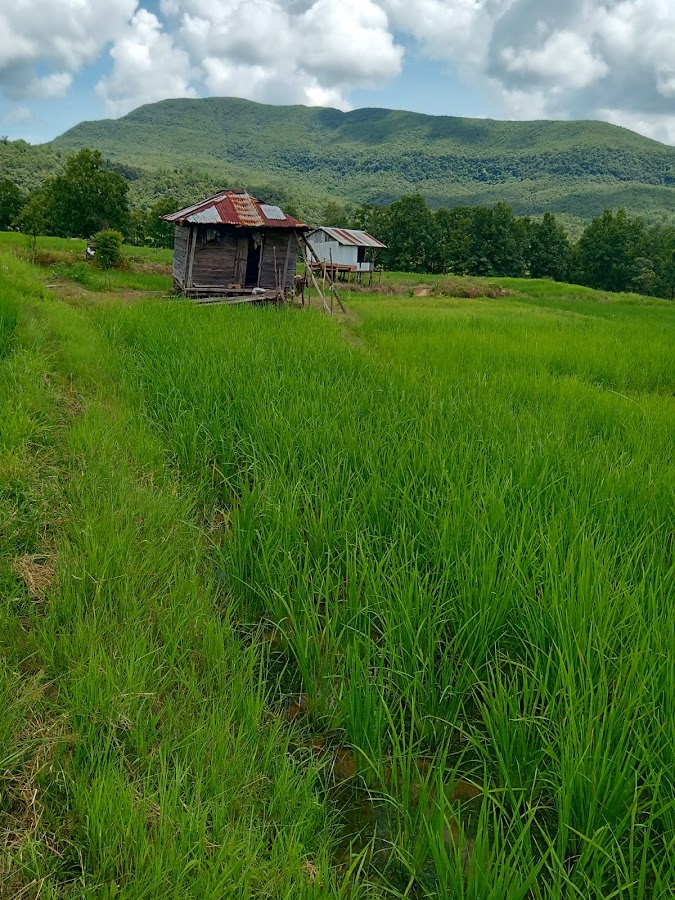 Hnahlan - Photo 3