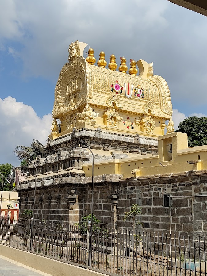 Pandava Thoothar Perumal Temple - Photo 2