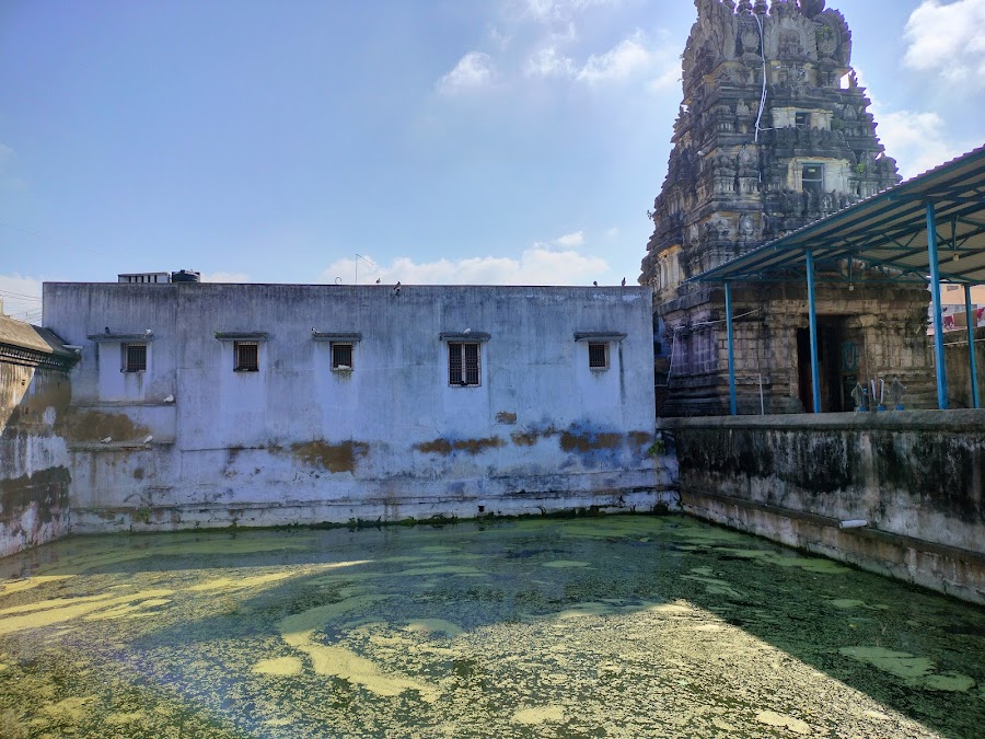 Pandava Thoothar Perumal Temple - Photo 4