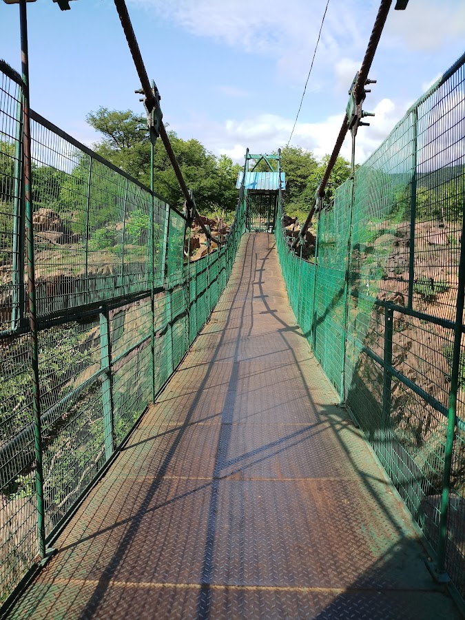 Hanging Bridge - Photo 3