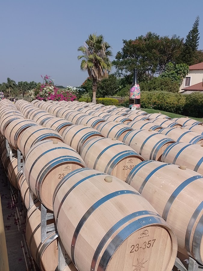 Sula Vineyards - Photo 2
