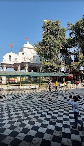Kangra - Photo 2
