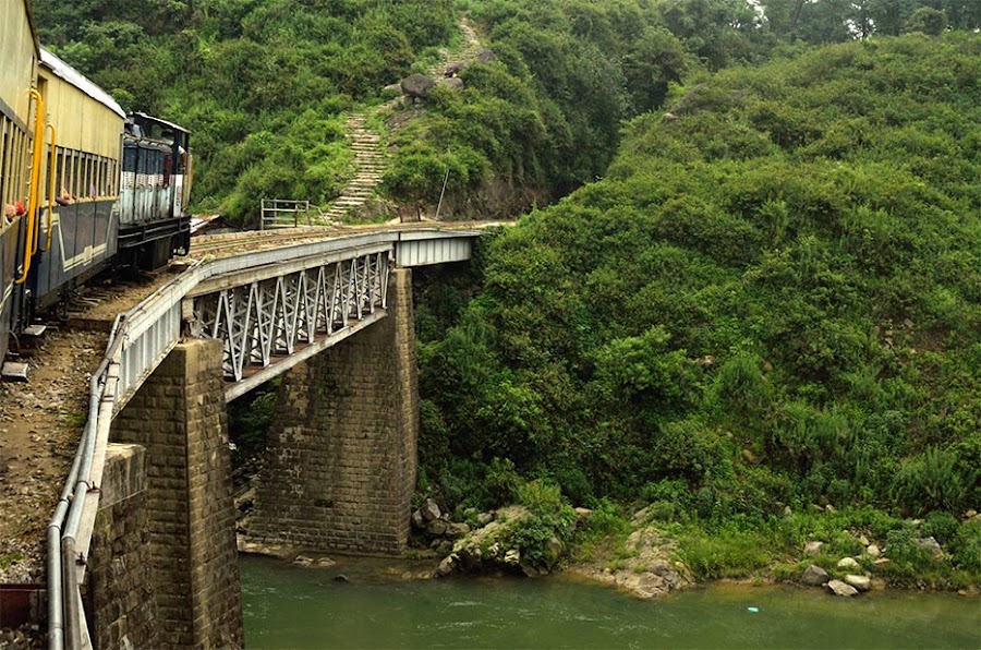 Kangra - Photo 8