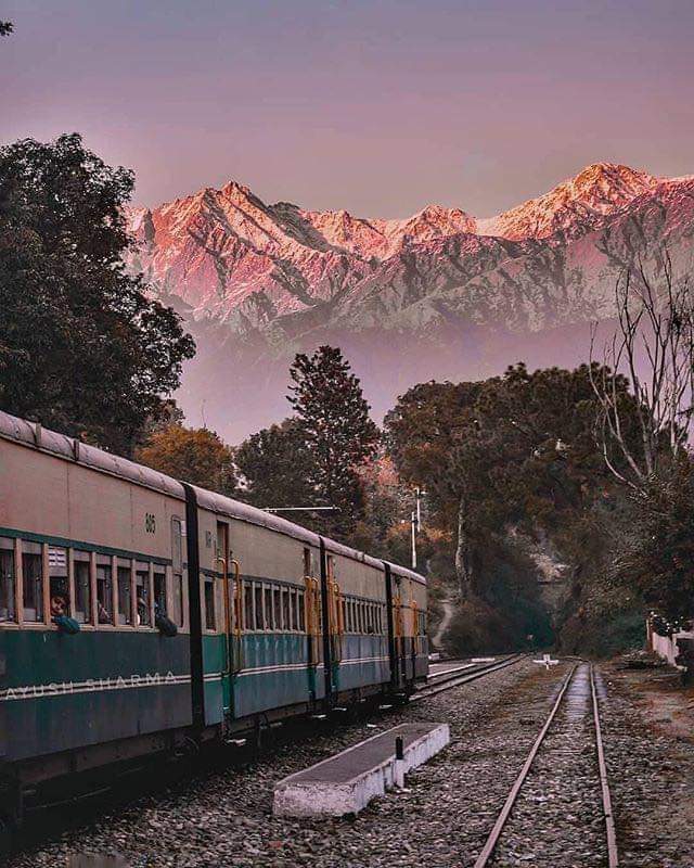 Kangra - Photo 6