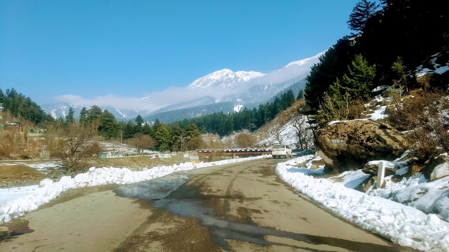 Overa Aru Biosphere Reserve - Photo 4
