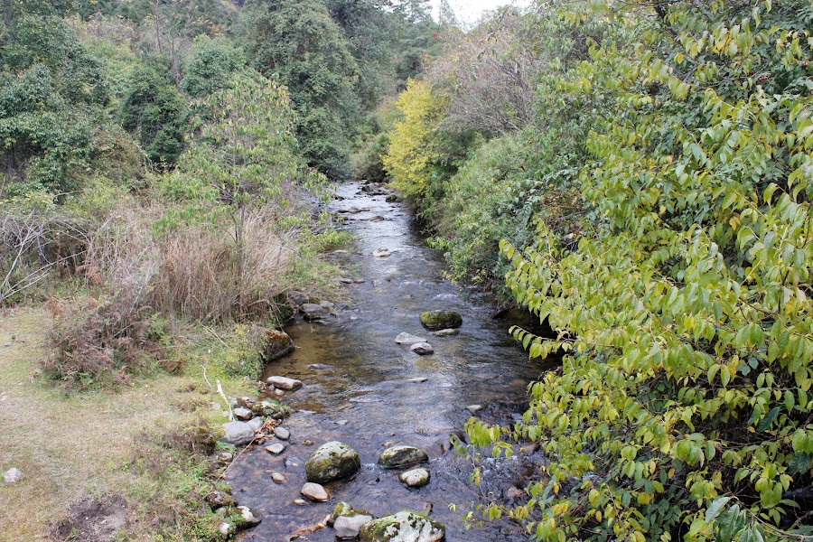 Talley Valley Wildlife Sanctuary - Photo 2
