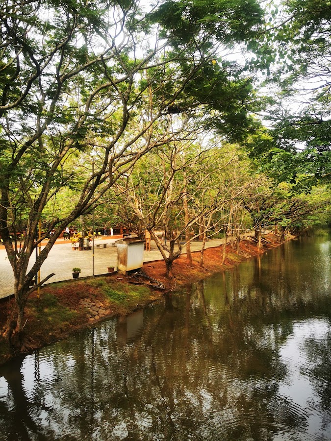 Sarovaram Bio Park - Photo 3