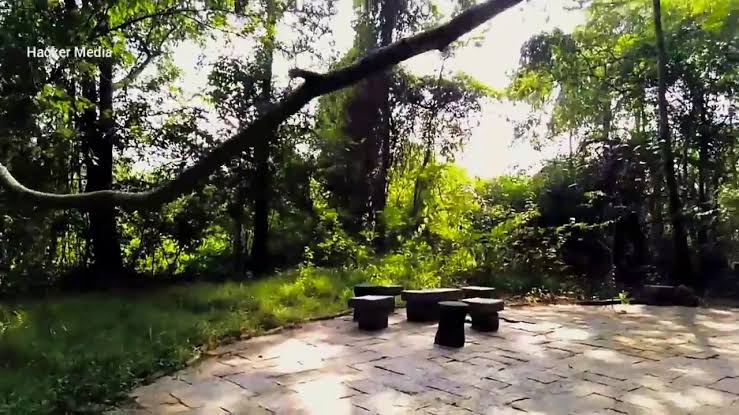 Sarovaram Bio Park - Photo 2