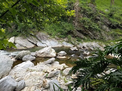 Pine Rivera - Photo 4