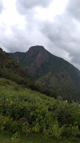 Dindigul - Photo 4
