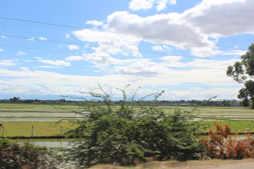 Dindigul - Photo 3