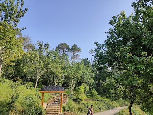 Kausani - Photo 2
