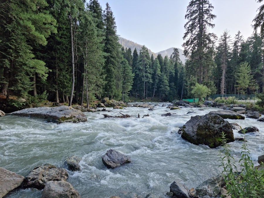 Betaab Valley - Photo 2