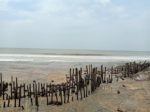 Tajpur - Photo 2