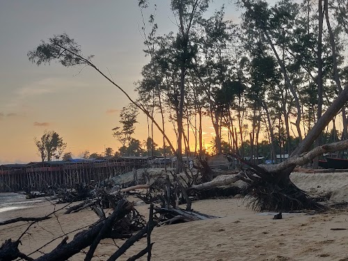 Tajpur - Photo 4
