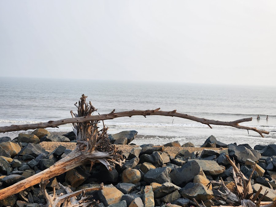 Mandarmani Beach - Photo 6